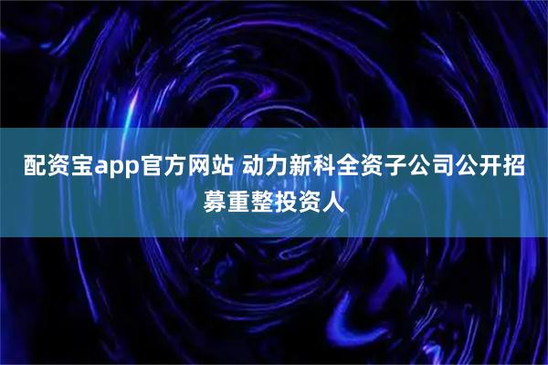 配资宝app官方网站 动力新科全资子公司公开招募重整投资人