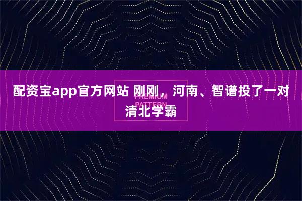 配资宝app官方网站 刚刚，河南、智谱投了一对清北学霸